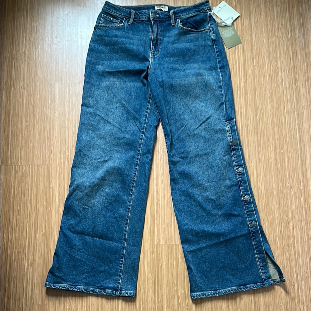 Nili Lotan for Target Classic Blue Wide Leg Jeans